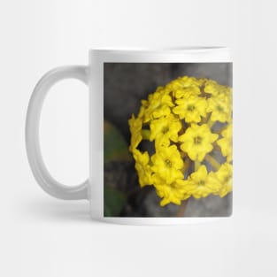 Abronia latifolia (coastal yellow sand-verbena) flower Mug
